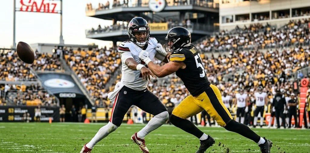 Texans vs Pittsburgh Steelers Match Player Stats